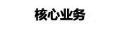 核心業(yè)務(wù)